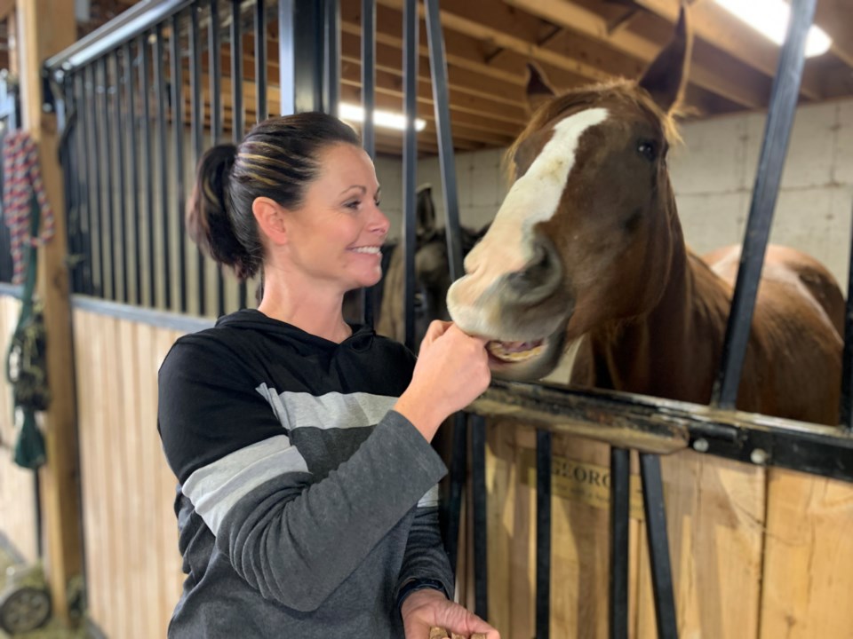 A forever home for the final chapter for large animals A forever home for the final chapter for large animals