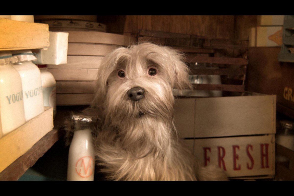 Stratford Film Festival to showcase stop-motion animation in special screening