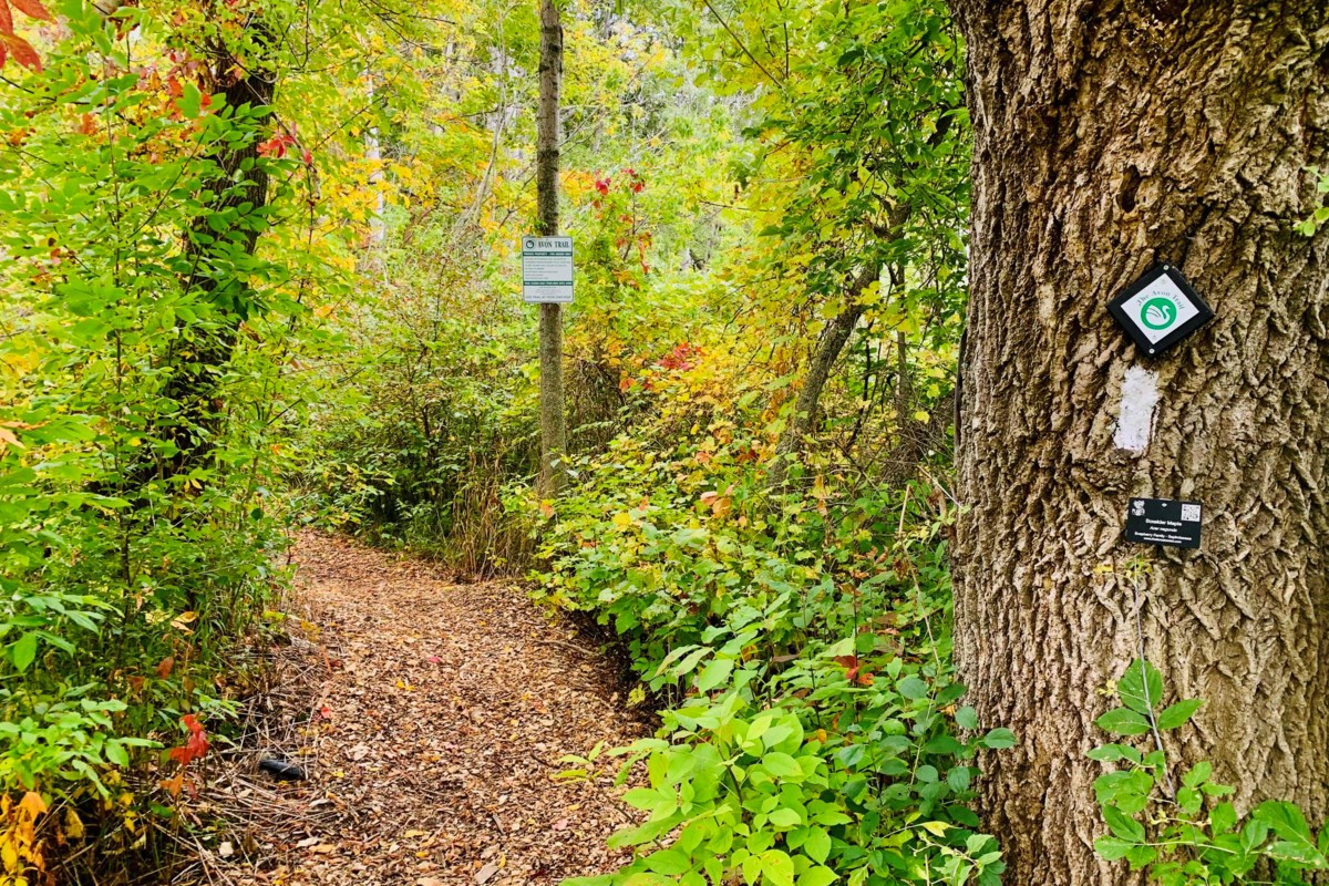 Stratford offers plenty of tools to help live a long and healthy life Stratford offers plenty of tools to help live a long and healthy life