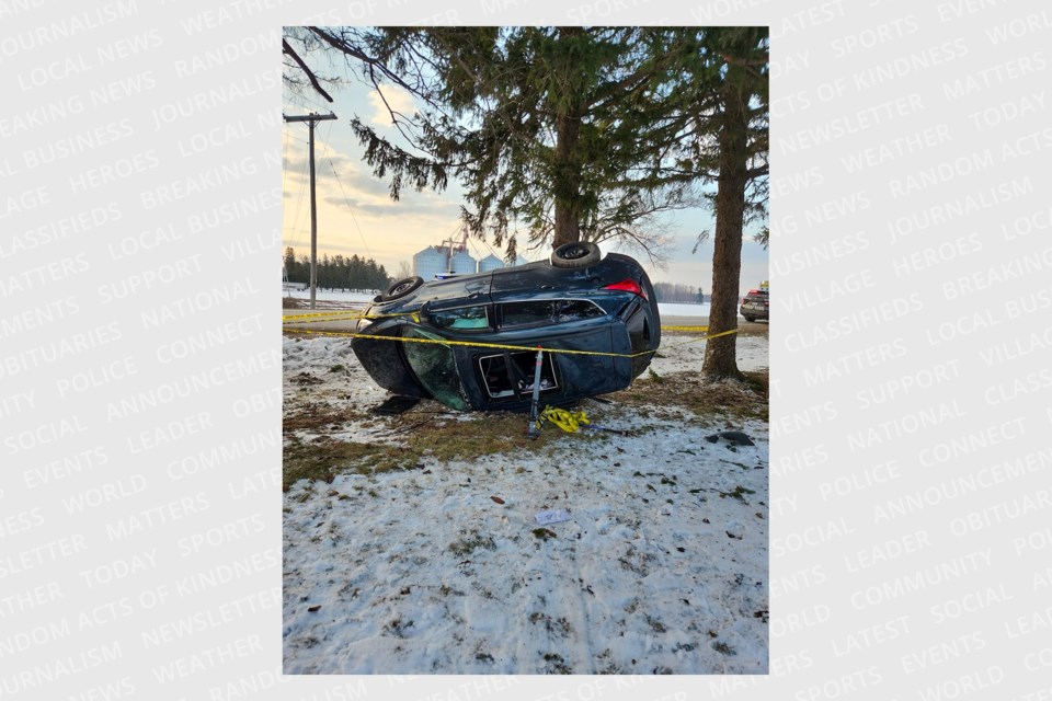 Car up against tree after Tuesday morning collision / Photo from Stratford Police Twitter