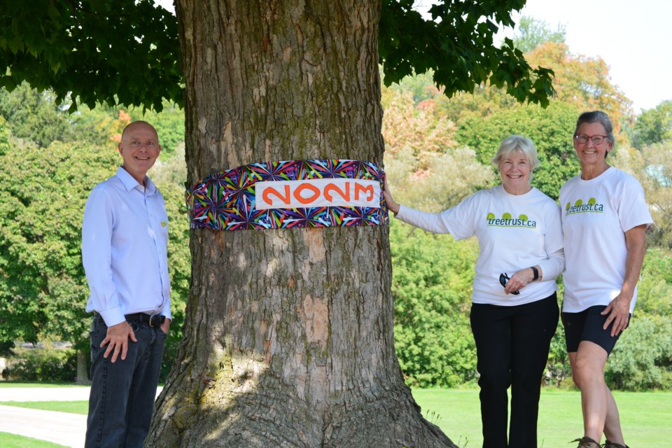 treeoftheyear23