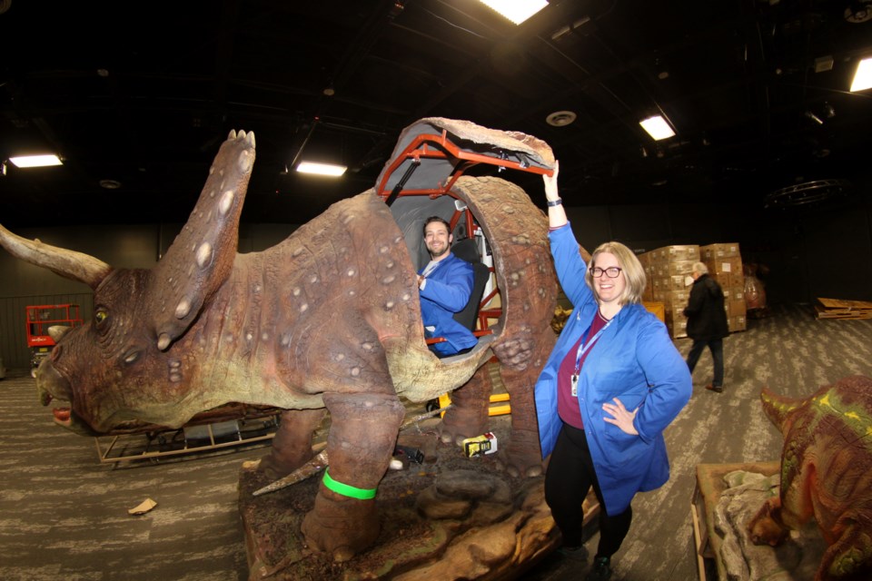 Science North marketing specialist Nick Ryma is seen inside a mechanical triceratops as senior scientist Amy Henson holds the door up. The dinosaur is part of a new travelling exhibit from Mexico called Dinosaur Discoveries, opening Feb. 18. 

Tyler Clarke / Sudbury.com