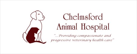 Sudbury Veterinary Services - Sudbury News Sudbury Veterinary Services - Sudbury News