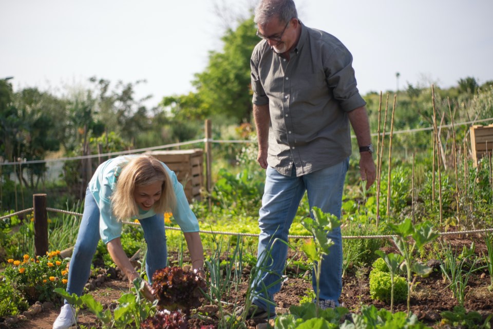 gardening-sby-study