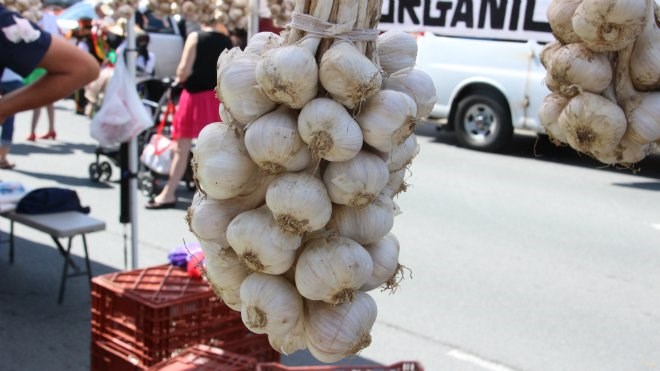 The Canadian Garlic Festival, set for Aug. 28, is in its 25th year, and always attracts a huge crowd to Hnatyshyn Park outside the Ukrainian Seniors Centre downtown, across from the Rainbow Centre Mall. File photo