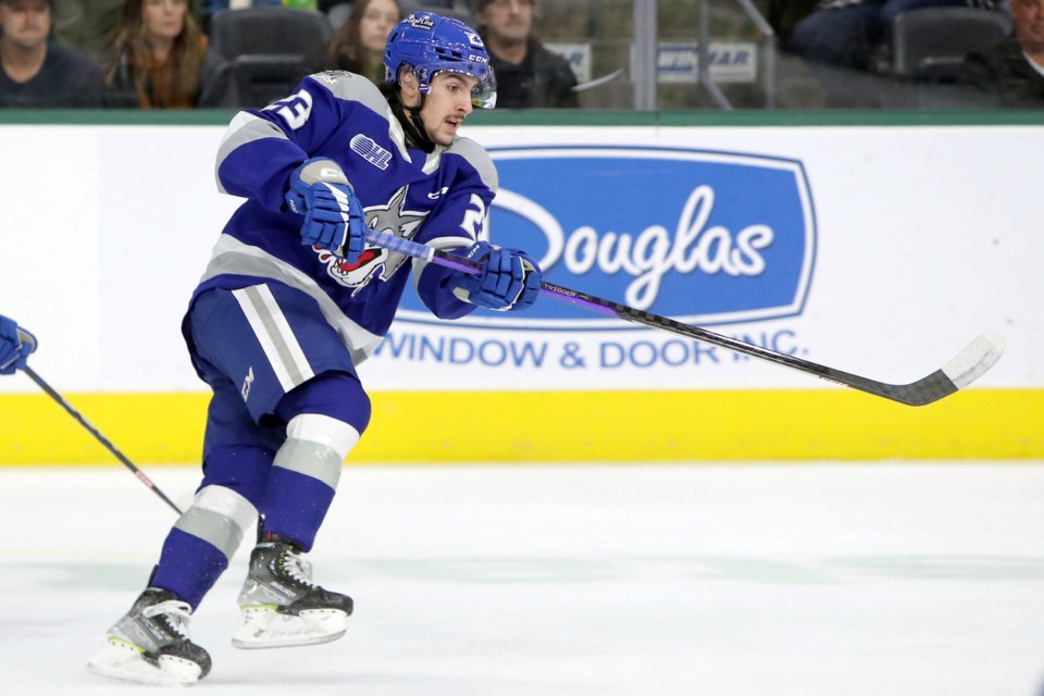 011222_wolves-devin-maura-luke-durda-image