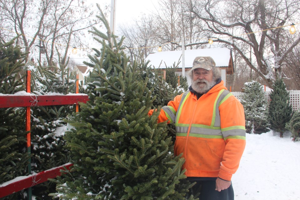For the past 22 years, Mike Peters has run a Christmas tree lot out of his Balsam Street backyard as a fundraiser for the First Copper Cliff Scouts. (Heidi Ulrichsen/Sudbury.com)