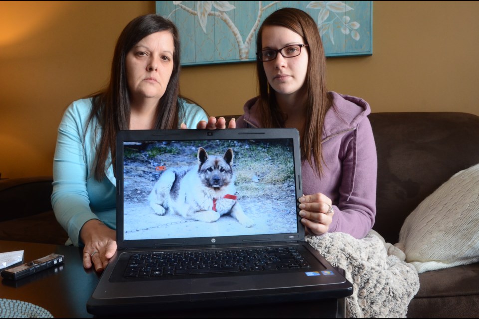 Terry Matthews and her daughter, Kayla, show off a photo of their dog, Tonka, an eight-year-old purebred Norwegian elkhound who was attacked Jan. 4 by two other dogs. Due to the severity of his injuries, Tonka was euthanized. Photo: Arron Pickard