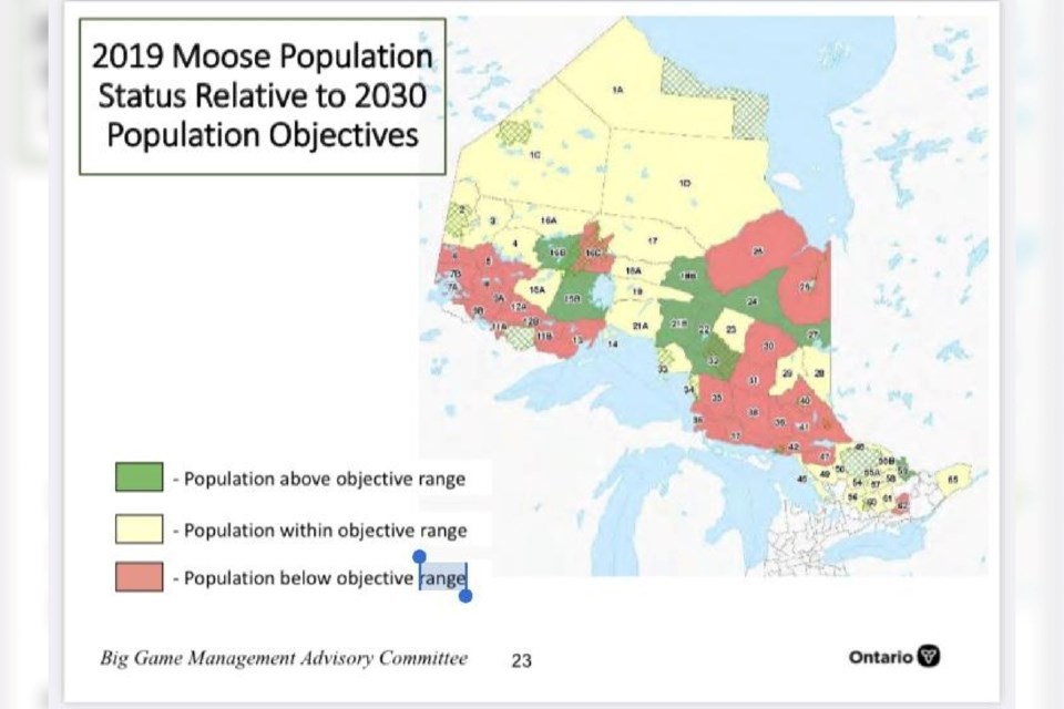 050423_bisset-caribou-column-2019-moose-population