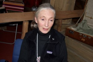 Jane Goodall to help celebrate Sudbury’s 10-millionth tree