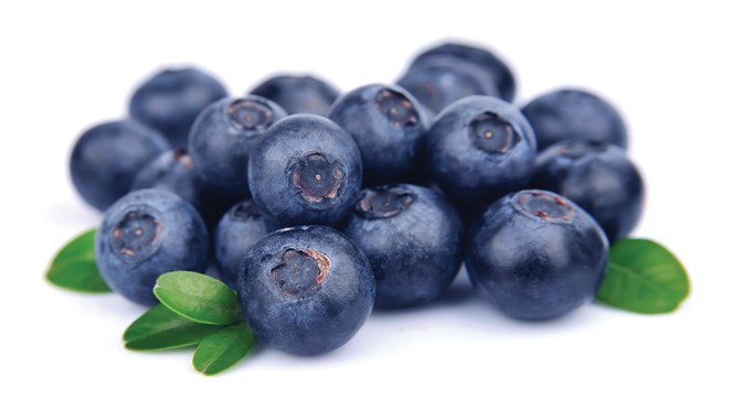 070716_blueberries-featured