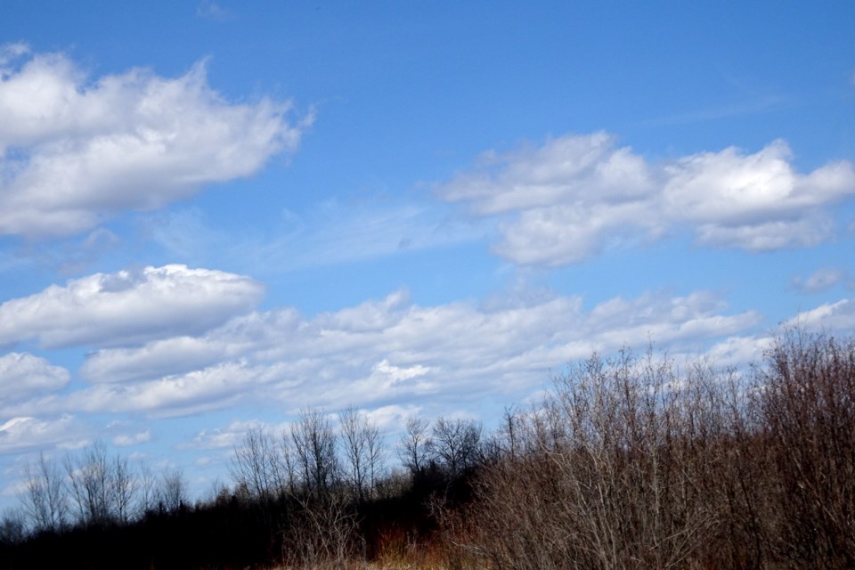 090522_linda derkacz fluffly clouds blue skies