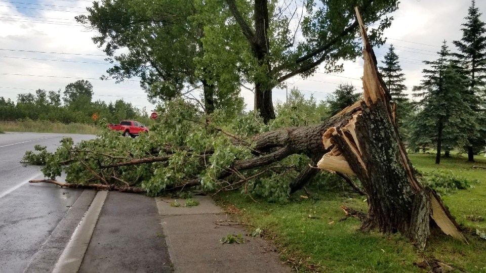 Tuesday afternoon’s thunderstorm brought high winds, heavy rain and lightning to most parts of the city, but the hardest hit area was Coniston where high winds brought down trees and branches, scattered debris and knocked out power to about 200 people.