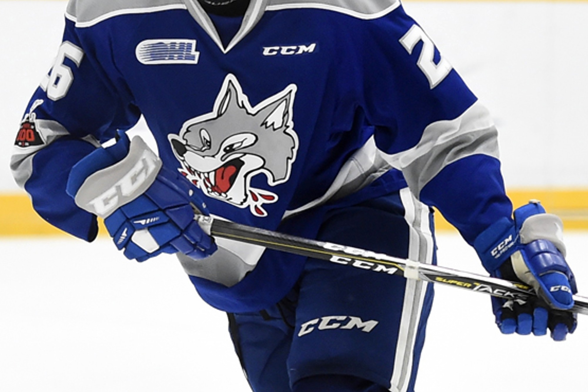 Miller Is this finally the Sudbury Wolves year?