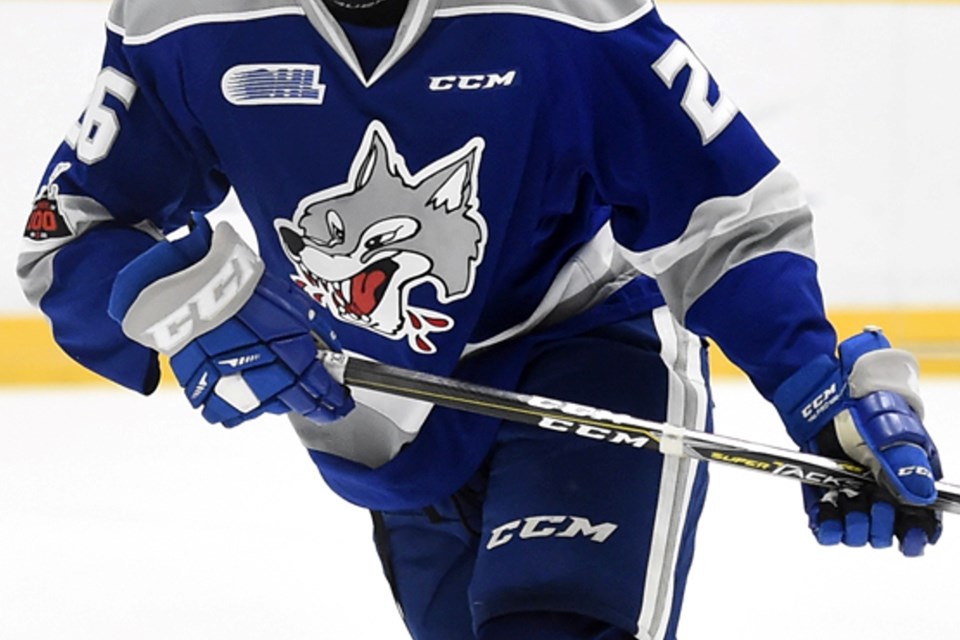 110222_sudbury-wolves-jersey large