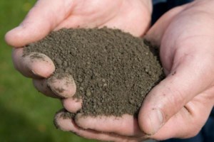 Celebrating a decade of turning Sudburians’ waste into fertilizer gold