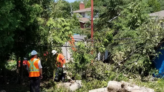Hydro crews clear trees and brush in a New Sudbury neighbourhood battered by a downburst and punishing thunderstorm on July 9 that left thousands without power and damaged homes and property. (Supplied)
