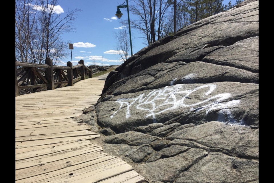  Most benches along the Bell Park boardwalk, along with garbage bins and information signs, have been defaced with graffiti. Photo by Heather Green-Oliver. 