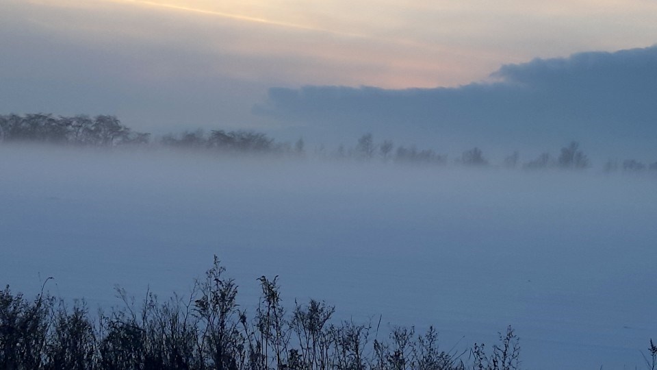 141221_denise-kitchin foggy field crop