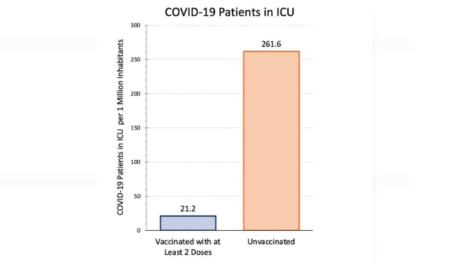 Graphs showing the comparative number of unvaccinated patients in Ontario ICUs this past week