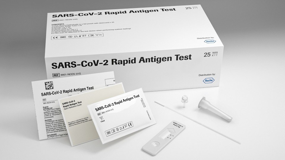 Rapid antigen test - Wikipedia