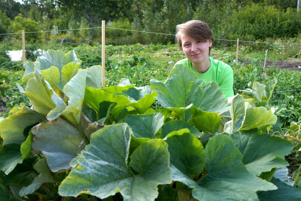 Matthew Chrusch poses with one of the large squash plants grown at the urban farm. Chrusch has been working at the farm all season and now has a garden at home. 