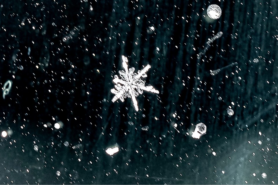 190323_george-bardeggia-snowflake1