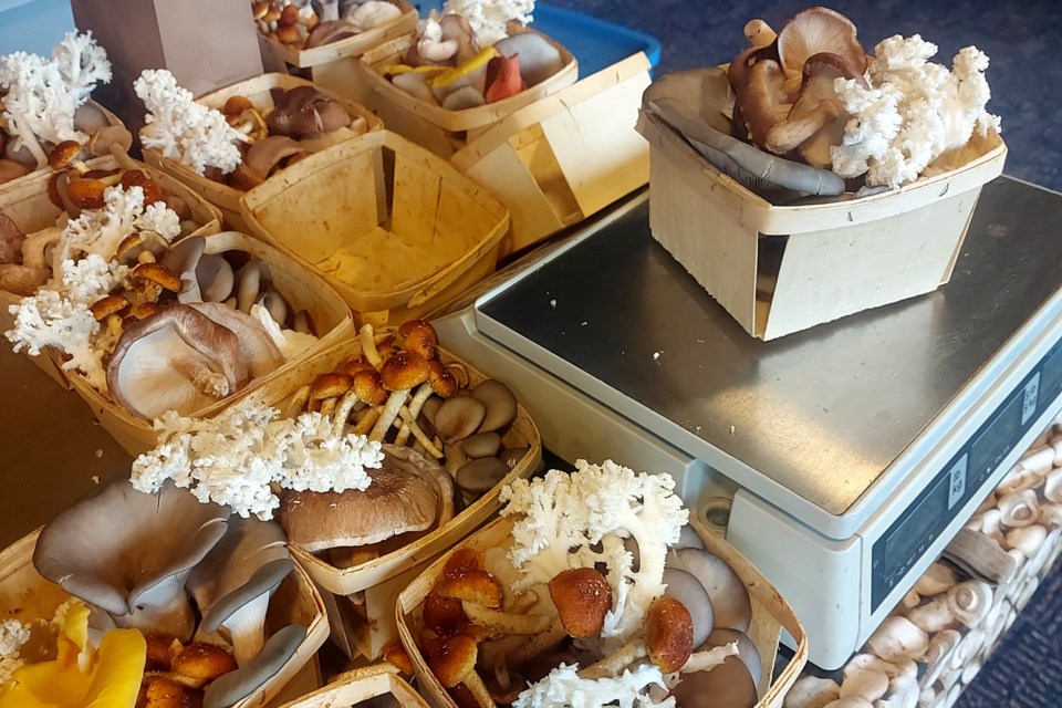 The Ugly Barn Farm is always a fan favourite at the weekly market. Customers can check out all the funky fungi and have their mushrooms weighted on a scale and priced out.  Brittany Rantala-Sykes and her partner, Ivan Vincent, are from Sudbury, and own the farm in the Markstay area, on Ratter Lake Road.