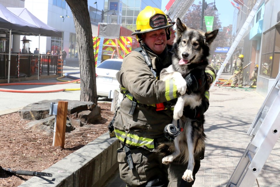 Greater Sudbury firefighter Jeff Wicklander holds grateful dog Stark, after the dog was rescued from a second storey apartment in a burning downtown building on May 24.