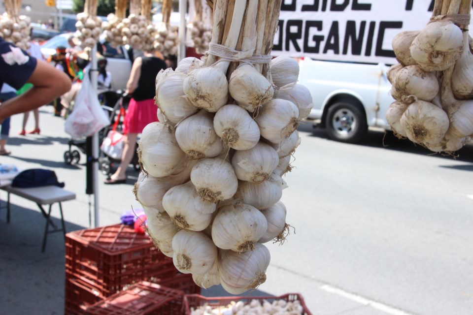 250822_garlic-festival-2014-image