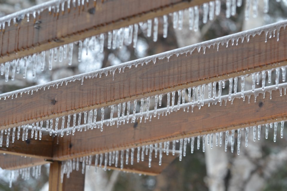 Colette Storzenecker provided this icy image taken following Monday's freezing rain. 