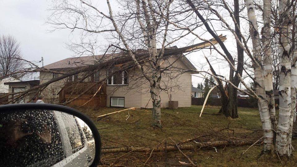 Craig Jefferson captured this image of a tree on a home in the valley.