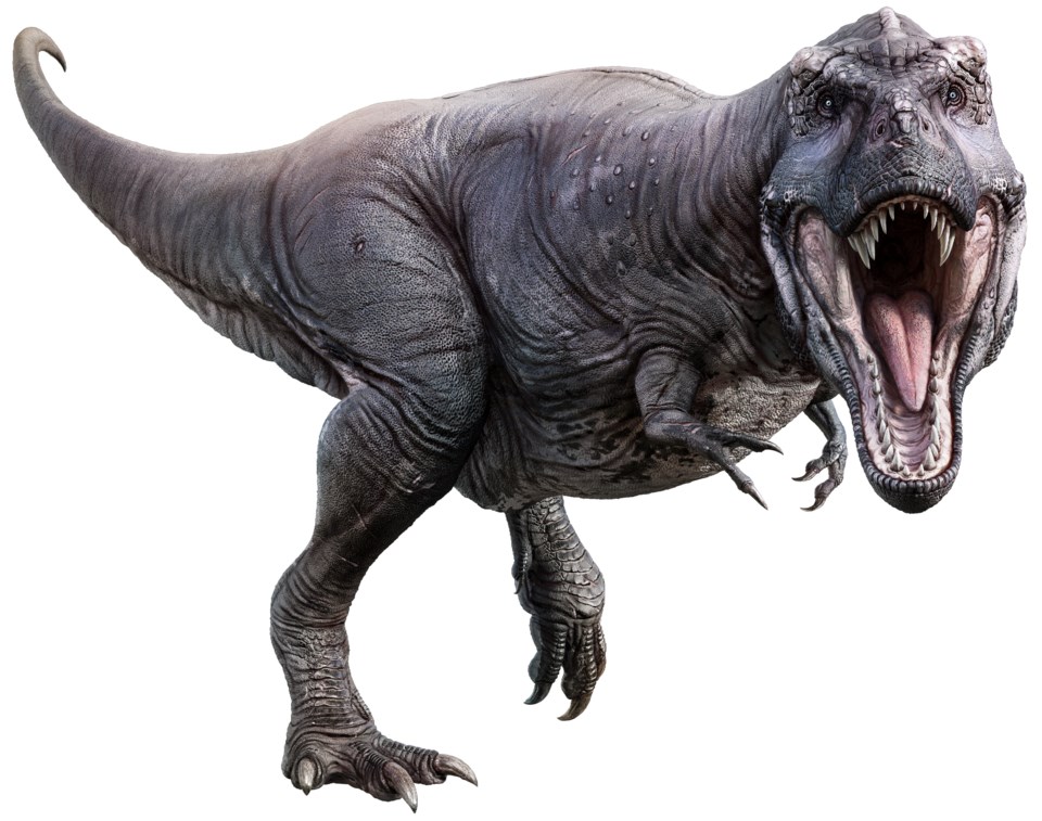 280420_Discover-clp-canadian-dinosaurs-tyrannosaurus