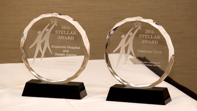 St. Albert Adult Learning Centre's students built the 2016 Stellar Awards, given to local businesses that mentor students. Photo by Jonathan Migneault.