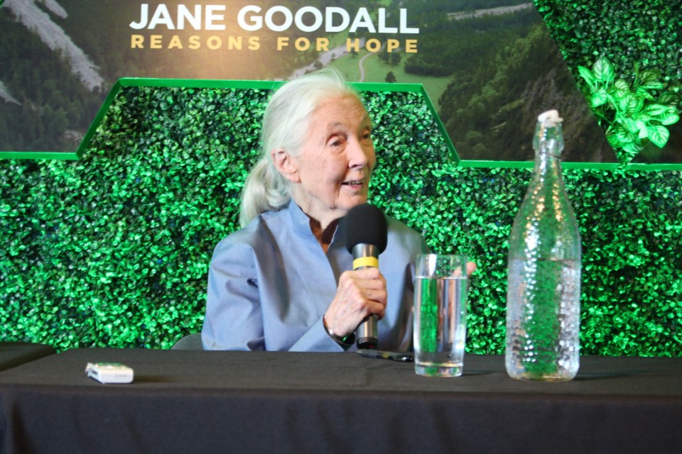 Jane Goodall speaks at a press conference following the opening of the IMAX film “Jane Goodall - Reasons for Hope” at Science North May 30.