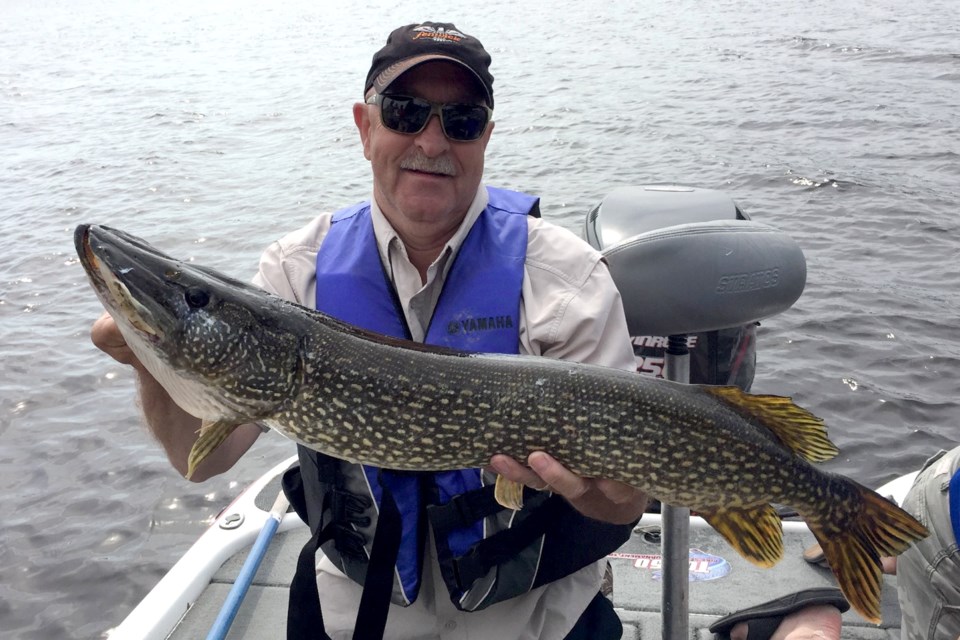 Bold: Adventures in pike with tournament angler Marc Pitre - Sudbury News