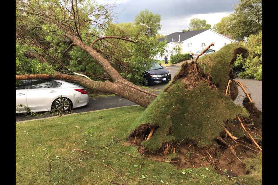 The July storm in Greater Sudbury did some serious damage to property in several parts of the city, but not enough to qualify for  a damage estimate for Canada's insurance industry. (File)
