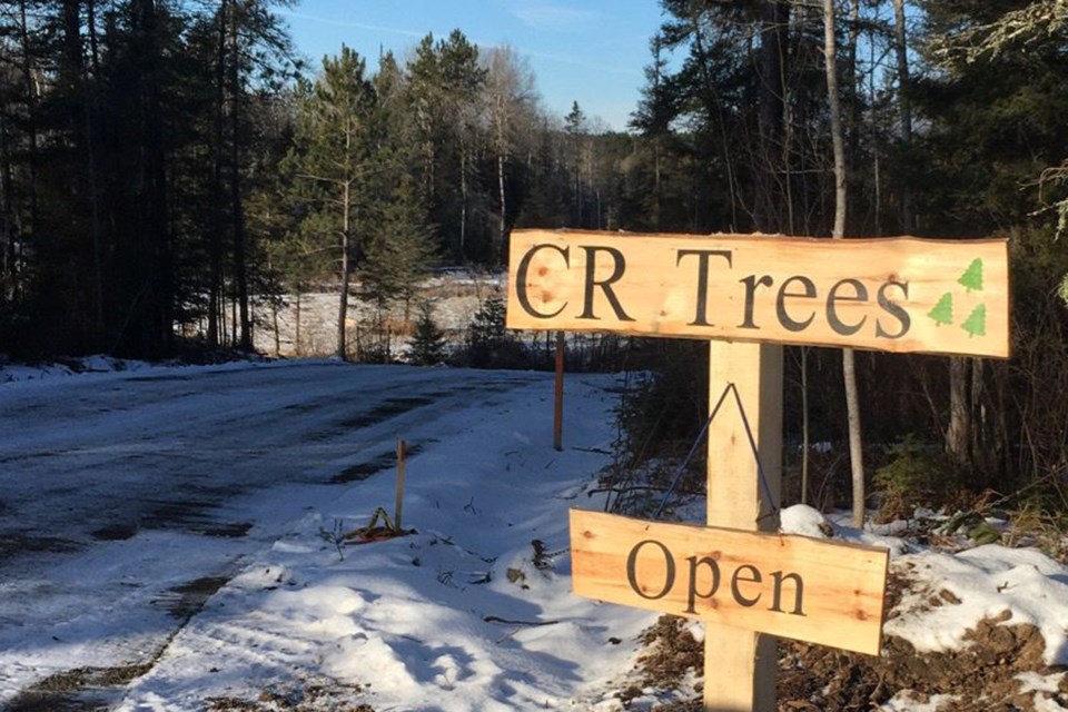 cr-trees-and-boutique-christmas-tree-farm-photo-2