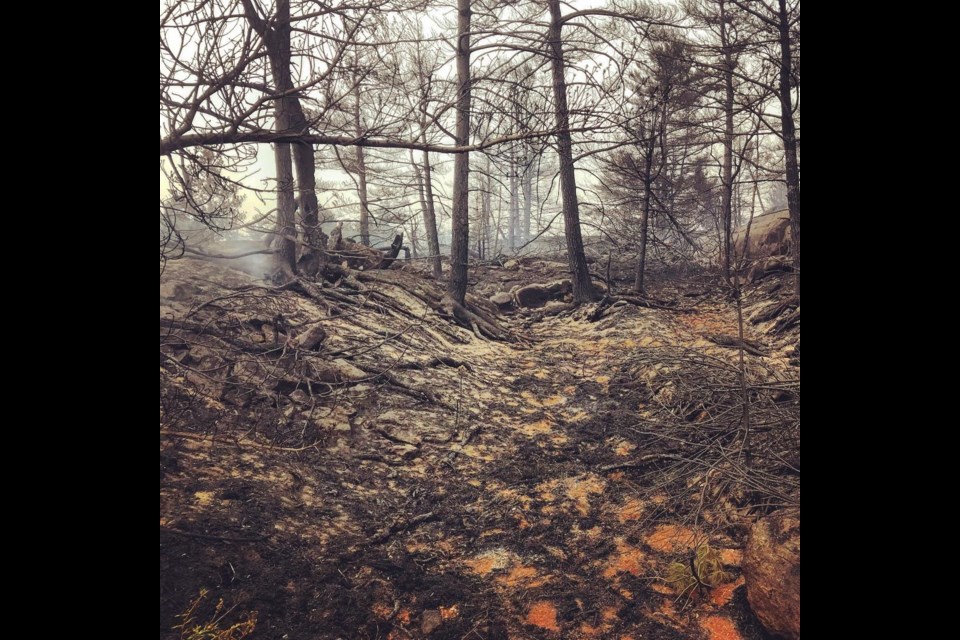 Instagram user el1748eth shared this image of a burned out section of forest near Key River. 