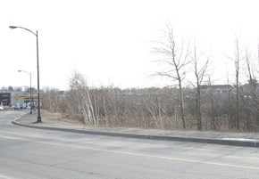 lilly_Creek_290