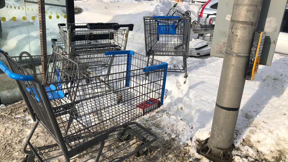 ShoppingCartsSized