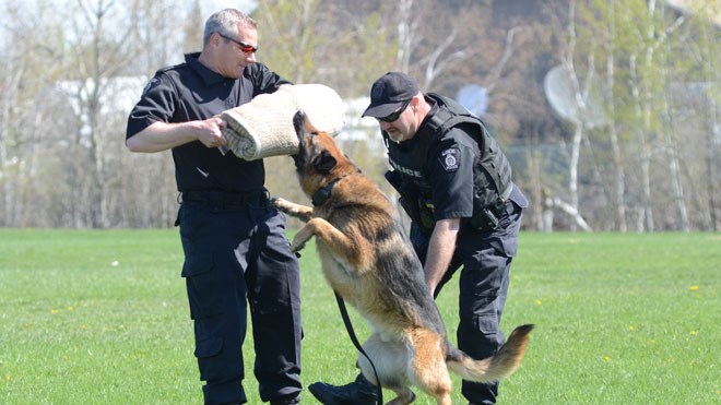 Canine_Unit_demonstrationSized