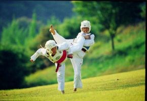 karate_picture