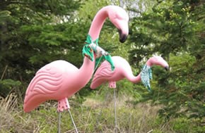 flamingo_290