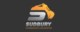 Sudbury Foundation and Excavation