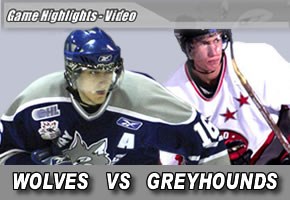 wolves_vs_greyhounds