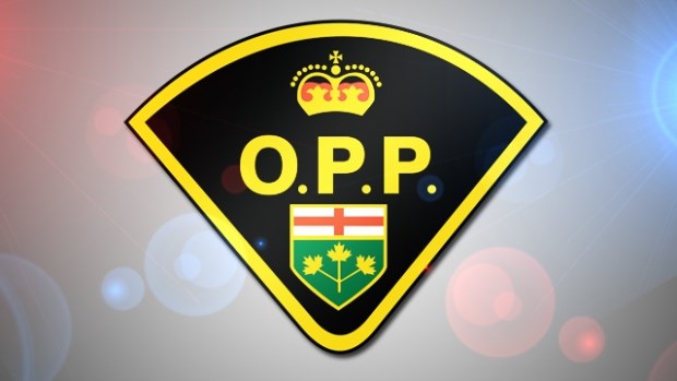 OPP Logo