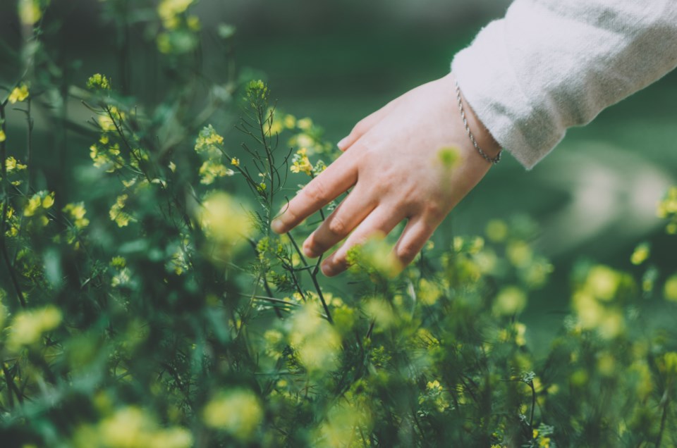 adobestock_434204115