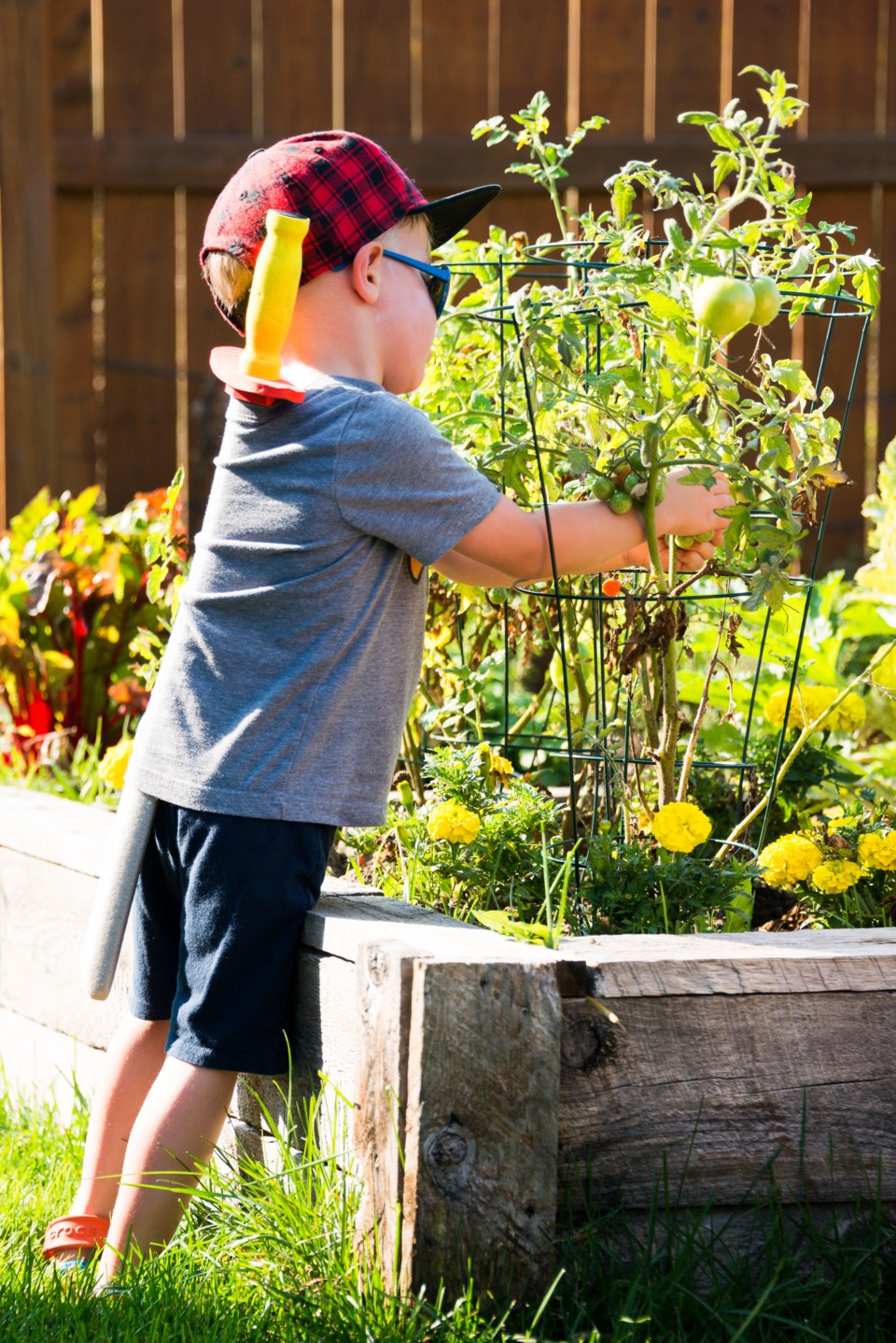child-in-garden