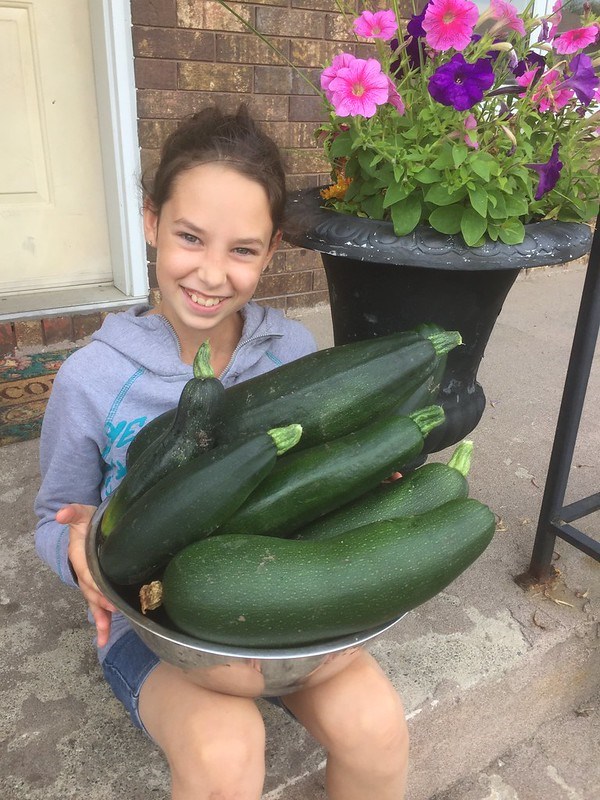 Green Living: Gardening for local climate action 4 48718879742_e03737bbe8_c